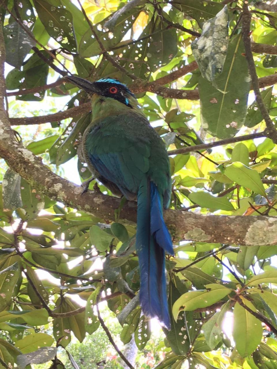 La Serena Reserva Natural Concepcion Kültér fotó
