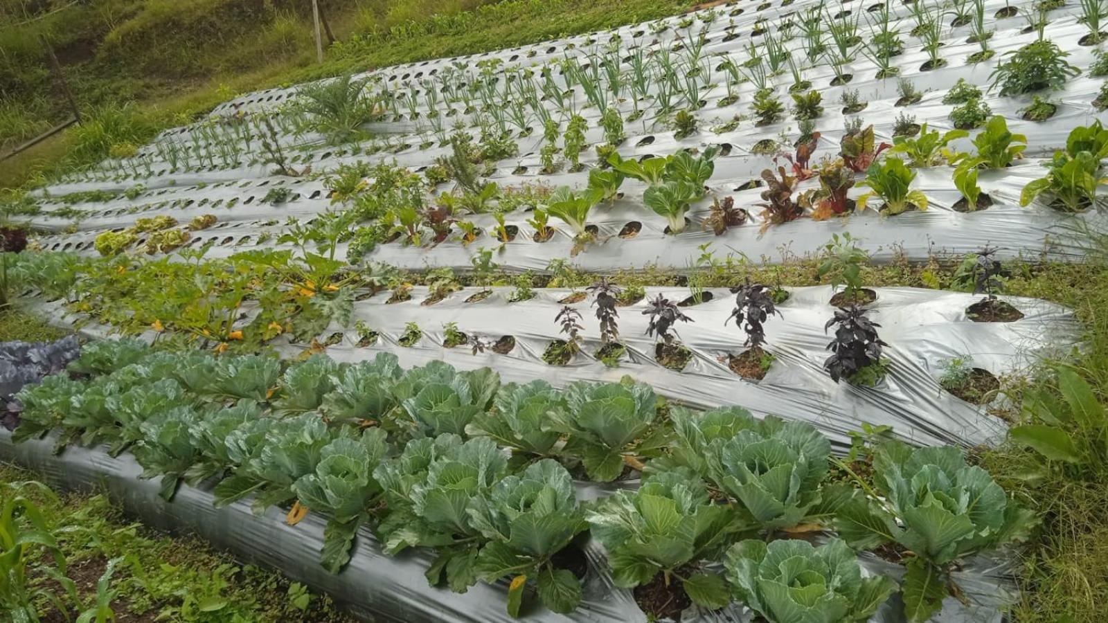 La Serena Reserva Natural Concepcion Kültér fotó
