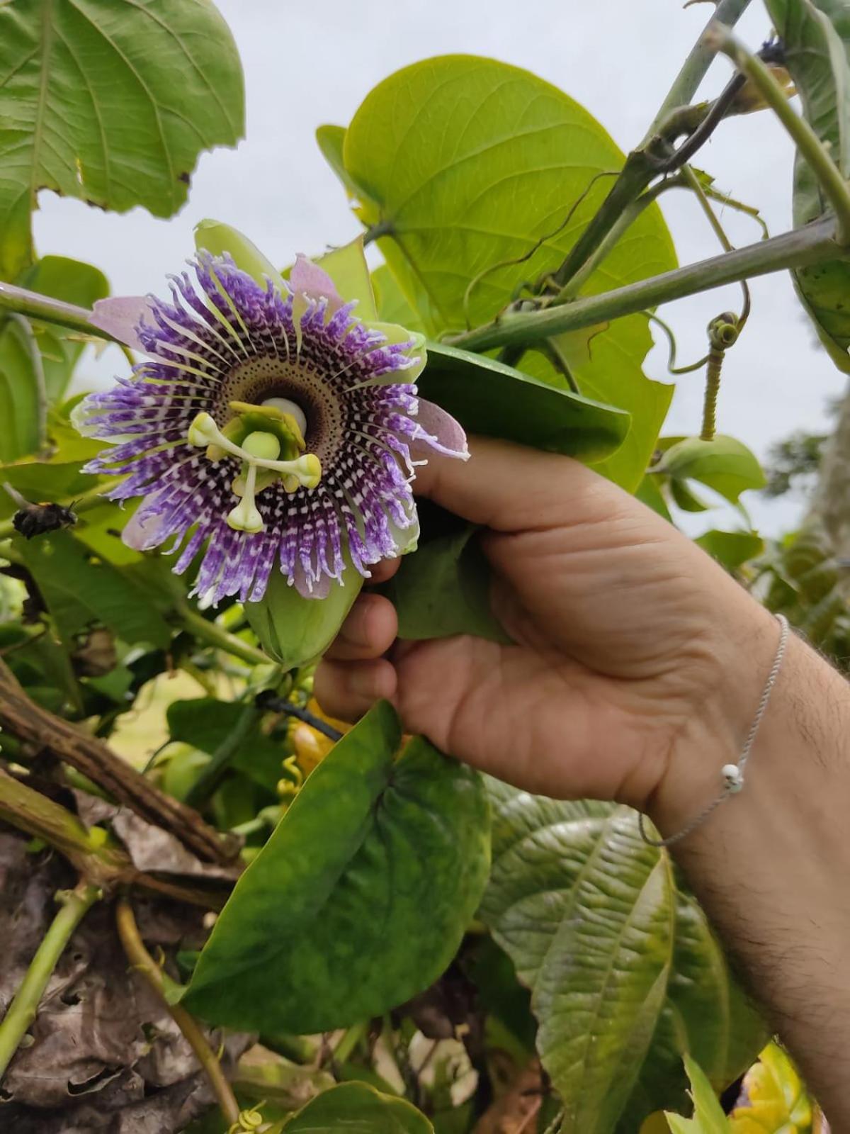 La Serena Reserva Natural Concepcion Kültér fotó