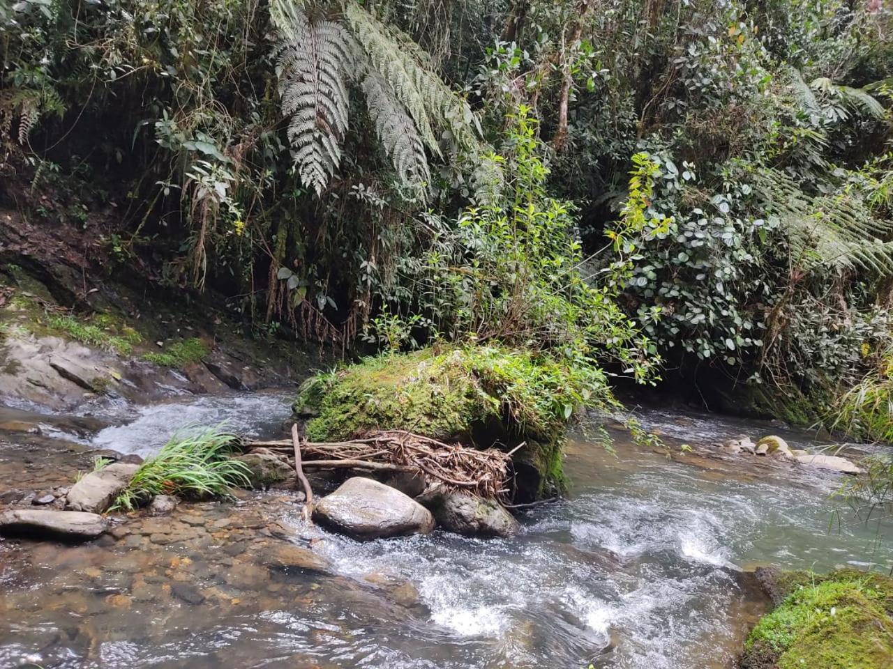 La Serena Reserva Natural Concepcion Kültér fotó