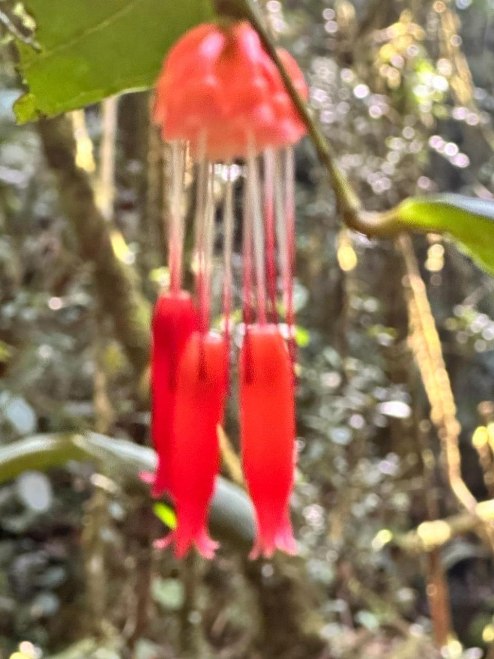 La Serena Reserva Natural Concepcion Kültér fotó