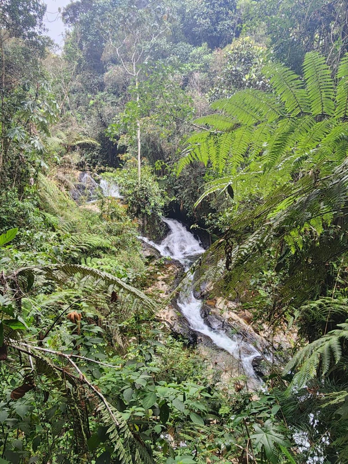 La Serena Reserva Natural Concepcion Kültér fotó